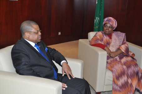 Mme Nkosazana Dlamini Zuma (Prsidente de la Commission de lUnion africaine) rencontre M. Nicolas Tiangaye (Premier Ministre de la Rpublique Centrafricaine) - 08 juillet 2013