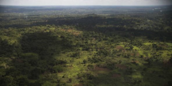 Photo arienne prise le 8 mai 2017 prs de Zemio, dans l'est de la Centrafrique, une rgion o la LRA de Joseph Kony est active.  Zack Baddorf/AP/SIPA