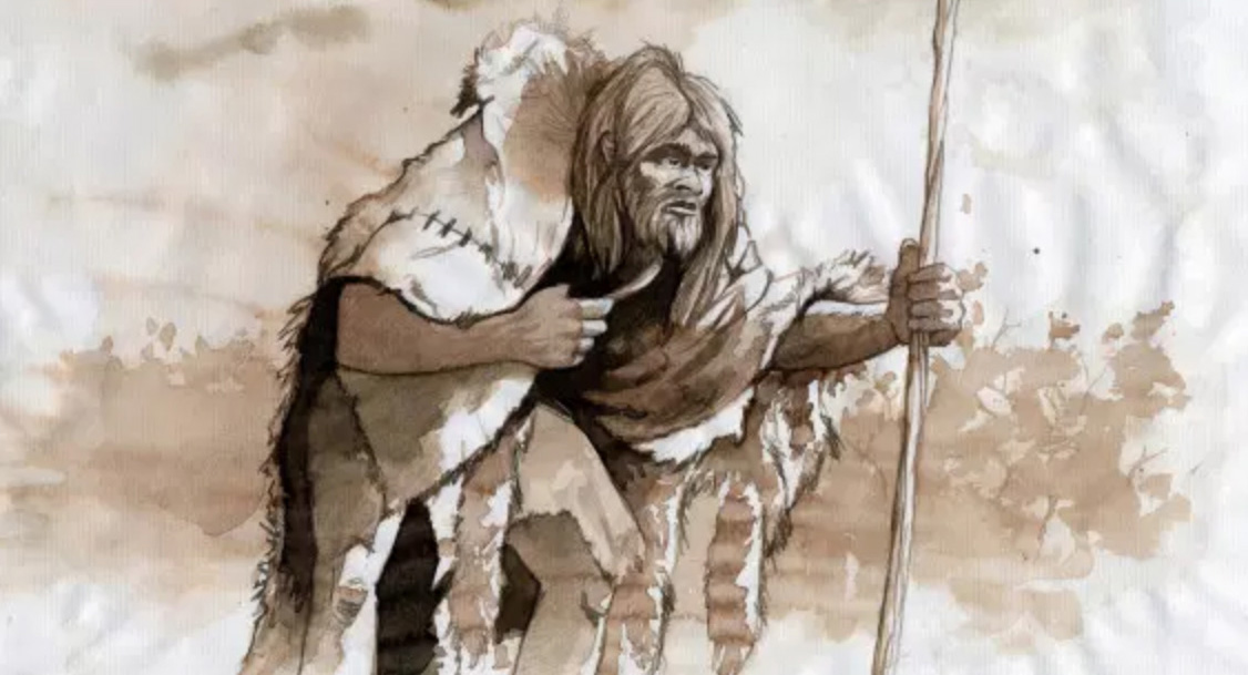 Prehistoire : representation d'un homme de Neandertal ou Neandertalien au paleolithique moyen. Dessin d'Alessandro Lonati