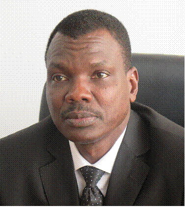 Composition du nouveau gouvernement centrafricain form vendredi 22 aot 2014 par le Premier ministre Mahamat Kamoun