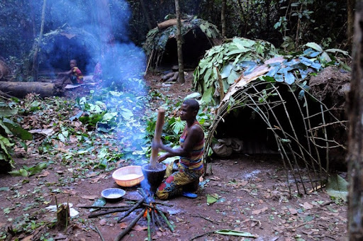 : Les Pygme?es bayaka de la re?serve de Dzanga-Sangha en Re?publique centrafricaine