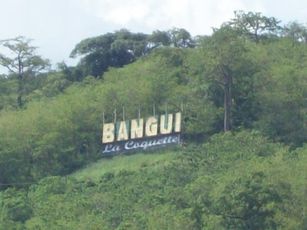 La forêt de Bangui