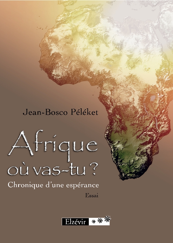 Un ouvrage de Jean-Bosco Plket : Afrique o vas-tu ? Chronique dune esprance - couv 1