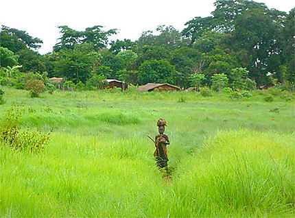 Icotexte :  Respirez  fond. De l'air, de la chlorophylle. 